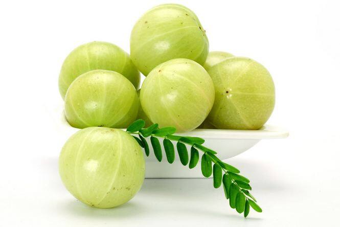 यूं तो आंवला दिखने में खाने में कितना बढिया लगता है. आंवले का अचार, आंवले का मुरब्बा सामने आते ही मुंह में पानी आ जाता है. आंवले में मौजूद गुण सेहत को फायदा भी खूब पहुंचाते हैं. आज आचार्य बालकृष्ण बता रहे हैं इसी आंवले के फायदों के बारे में. 
