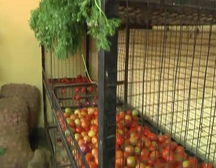 दंतेवाड़ा के CRPF कैंप और नागपुर के पुलिस ट्रेनिंग सेंटर में जवानों के खाने की पड़ताल