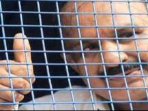 नरोदा पाटिया नरसंहार में उम्रकैद काट रहे बाबू बजरंगी ने हाईकोर्ट से जमानत याचिका वापस ली