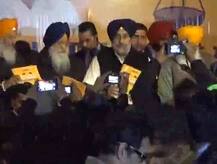 अकाली दल का घोषणापत्र जारी, किसानों को मुफ्त बिजली, 25 रुपये किलो घी का वादा