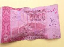 गुब्बारे के साथ उड़ता हुआ पहुंचा \'पाकिस्तानी नोट\', गांव में फैली सनसनी