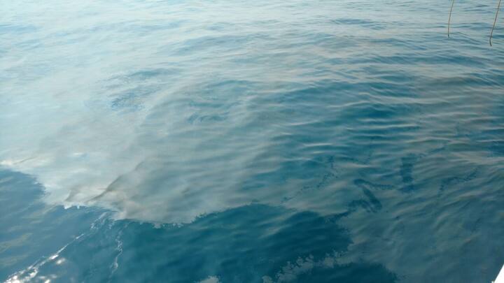 (तस्वीर- एबीपी न्यूज़)