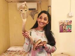 कोबरा को पकड़कर फोटो खिंचाने और शेयर करने के बाद मुश्किल में फंसी टीवी एक्ट्रेस श्रुति उल्फत