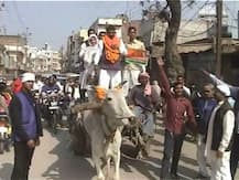 Bullock Cart Races To Resume In Punjab As State Assembly Passes Animal Welfare Bill