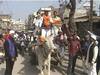 Bullock Cart Races To Resume In Punjab As State Assembly Passes Animal Welfare Bill