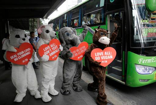 (All Photos -AP Exchange))