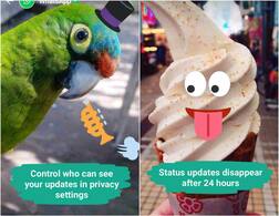 Snapchat से WhatsApp ने कॉपी किया ये फीचर, जानें 'स्टेट्स' फीचर से जुड़ी खास बातें