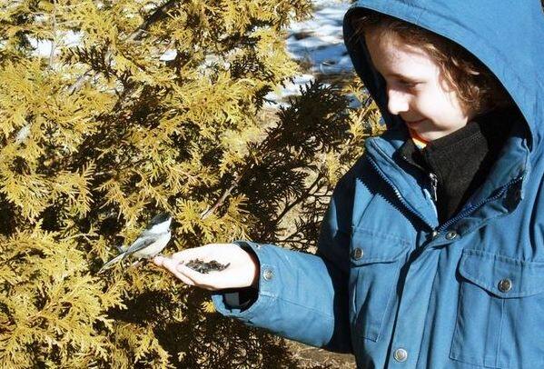 स्ट्रेस दूर करना है तो निहारें पक्षियों को! Watch Birds To Reduce Stress Anxiety Study स्ट्रेस दूर करना है तो निहारें पक्षियों को!