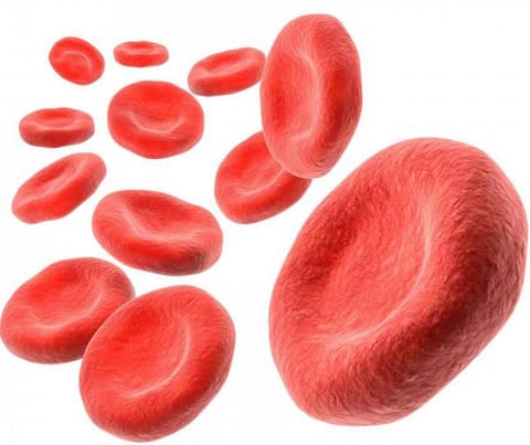 World Thalassaemia Day: शादी से पहले ब्लड टेस्ट ही है थैलेसीमिया से बचाव! World Thalassaemia Day: शादी से पहले ब्लड टेस्ट ही है थैलेसीमिया से बचाव!