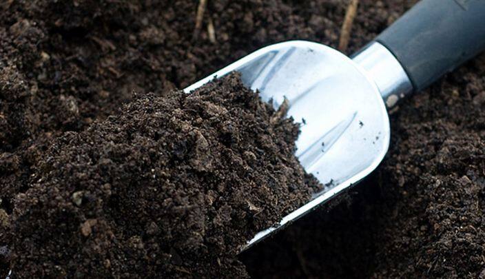 Bareilly: Nine officer suspended in soil investigation scandal, stirred in department मिट्टी जांच घोटाला: एक्शन में योगी सरकार, 9 अफसरों पर गिरी गाज