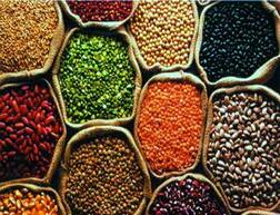 लगातार महंगी हो रही है दालें, लॉकडाउन से अब तक दाम में 30 फीसदी इजाफा