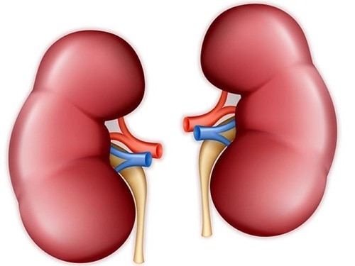Research reveals more risk of kidney failure in covid-19 patients रिसर्च में आया सामने-कोविड-19 रोगियों में किडनी खराब होने का जोखिम ज्यादा