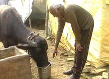 यूपी: ईमानदारी और सादगी से पूरे इलाके में मशहूर हैं BJP विधायक बैजनाथ रावत