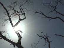 देशभर में गर्मी ने किया लोगों का बुरा हाल, मार्च में ही बरसने लगी आसमान से आग