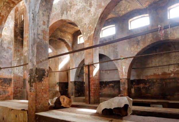 यूपी की तर्ज पर बिहार में भी सील किए गए सात अवैध बूचड़खाने Bihar Seven Illegal Slaughterhouses Sealed यूपी की तर्ज पर बिहार में भी सील किए गए सात अवैध बूचड़खाने