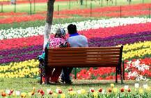 प्रकृति के रंग में रंगा धरती का स्वर्ग कश्मीर!