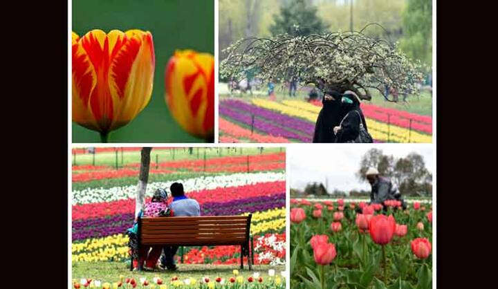 इन दिनों कश्मीर में बने तनाव की वजह से वहां का पर्यटन उद्योग बुरी तरह प्रभावित हुआ है. 