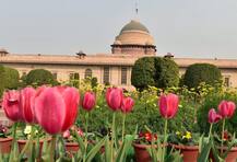 अपनी पसंद का राष्ट्रपति बनाने के लिए बीजेपी लगा रही है एड़ी-चोटी का जोर