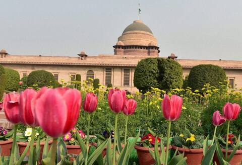 अपनी पसंद का राष्ट्रपति बनाने के लिए बीजेपी लगा रही है एड़ी-चोटी का जोर अपनी पसंद का राष्ट्रपति बनाने के लिए बीजेपी लगा रही है एड़ी-चोटी का जोर