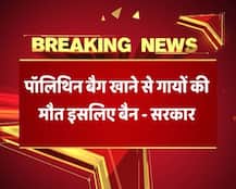 MP में 1 मई से पॉलीथीन पर बैन, सरकार ने कहा- ‘पॉलीथीन खाकर मर रही हैं गाय’