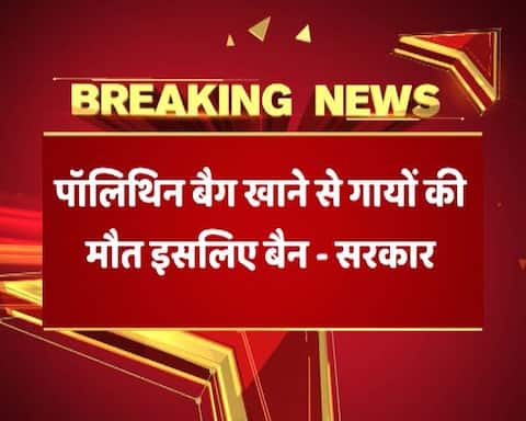 MP में 1 मई से पॉलीथीन पर बैन, सरकार ने कहा- ‘पॉलीथीन खाकर मर रही हैं गाय’ MP में 1 मई से पॉलीथीन पर बैन, सरकार ने कहा- ‘पॉलीथीन खाकर मर रही हैं गाय’