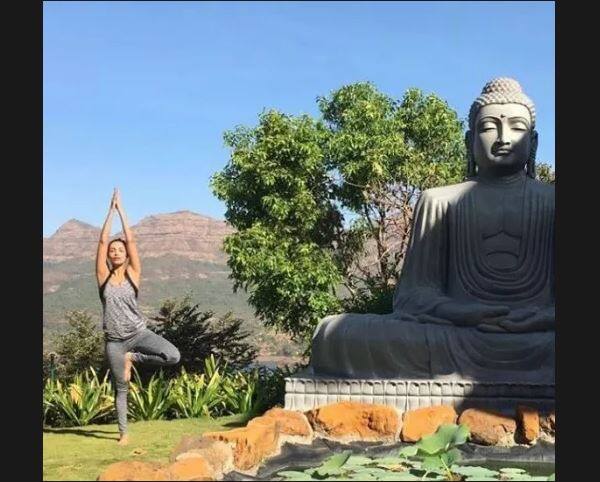 अपनी अदाओं से फिल्मी पर्दे पर राज करने वाली मलाइका इंस्टाग्राम पर खासा एक्टिव हैं और लगातार अपने फोटोज शेयर करती रहती हैं.