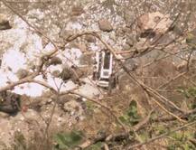 हिमाचल प्रदेश : यात्रियों से भरी बस नदी में गिरी, 43 लोगों के मारे जाने की आशंका