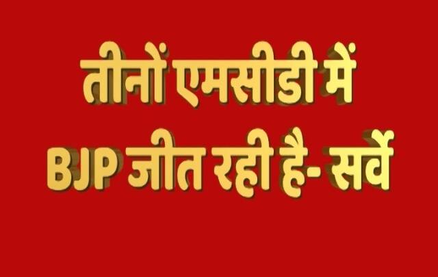 एबीपी न्यूज- सी वोटर के सर्वे के मुताबिक बीजेपी को भारी बहुमत मिलने की संभावना है.