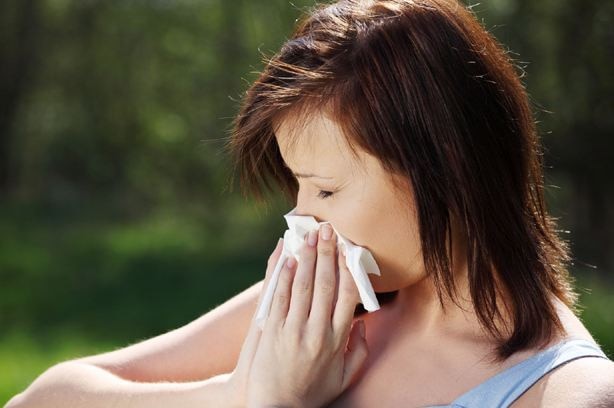 Know everything about Environmental Allergy,  symptoms, Diagnosis and Treatment मौसमी एलर्जी से हैं परेशान, तो ये उपाय आएंगे आपके काम
