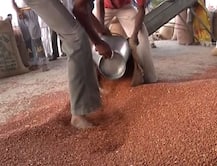 महाराष्ट्र में बड़े घोटाले का पर्दाफाश, सरकार पर तूर दाल खरीदने में गड़बड़ी का आरोप