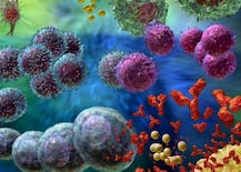 कैंसर कोशिकाएं नष्ट करने वाली एंटीबॉडी की पहचान