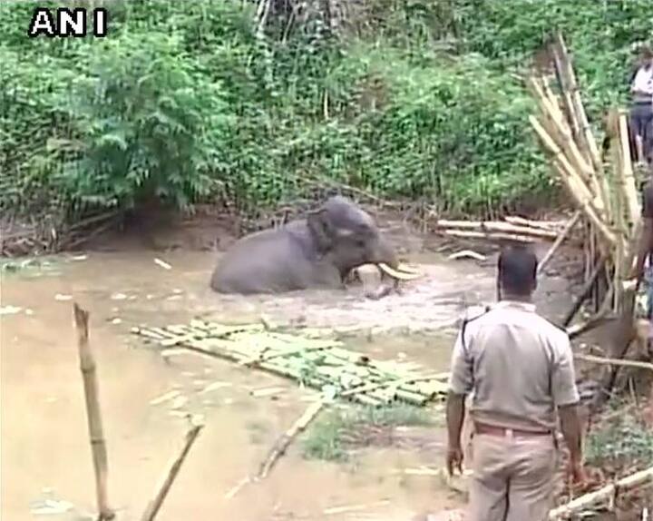 ये तस्वीरें गुवाहाटी के Amchang Wildlife Sanctuary की है. इस बचाने के लिए राहत और बचाव कार्या जारी है. 