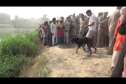 यूपी : अंधविश्वास में चार साल के मासूम की 'बलि', टुकड़ों में कटा शव मिला