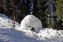 आपकी छुट्टियों को शानदार बना देगा मनाली में बना इग्लू, देखें शानदार तस्वीरें