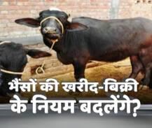 मवेशियों की खरीद-बेच के नियमों में बदलाव ला सकती है केंद्र सरकार