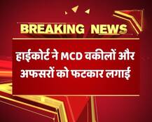 ABP की रिपोर्ट पर हाईकोर्ट ने MCD की बजाई घंटी, गंदगी पर वकील बोले- \'हम शर्मिंदा हैं\'