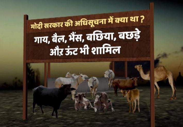 मवेशियों की खरीद फरोख्त पर मेघालय ने तरेरी आंख, आदेश को नहीं मानेगा