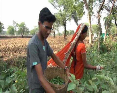 गरीबी बनी दुश्मन, छत्तीसगढ़ 12वीं का टॉपर बेच रहा सब्जी गरीबी बनी दुश्मन, छत्तीसगढ़ 12वीं का टॉपर बेच रहा सब्जी