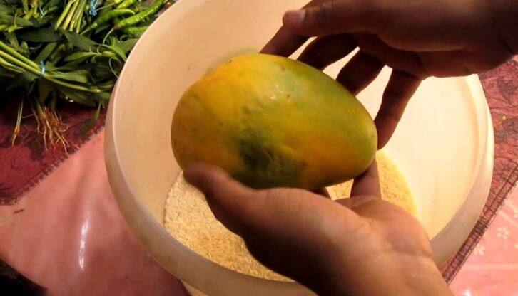 Use Of Chinese Calcium Carbide To Ripen Mango आपके आम में 'चीन वाला जहर', जानें क्या है इससे बचने का तरीका?