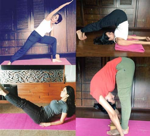  मल्लिका सहरावत जिम में तो वर्कआउट करती ही हैं वे योगा करना भी खूब पसंद करती हैं. 