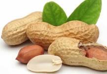 मूंगफली खाने से हो सकते हैं ये फायदे