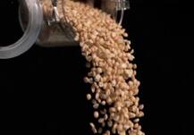 मूंगफली खाने से हो सकते हैं ये फायदे