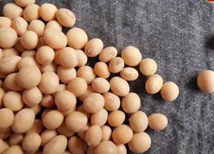 शाकाहारी लोगों के लिए सोयाबीन खाना है काफी फायदेमंद.