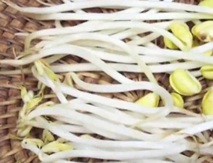 सोयाबीन के स्प्राउट्स खाना है बेहतर विकल्प.