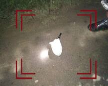 J&K: सुरक्षाबलों की मुस्तैदी से टली बड़ी घटना, पुलवामा में 5 किलो वजन की दो IED नष्ट