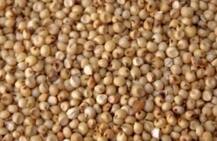 वजन कम करना है ये हो सकता है बेहतर उपाय!