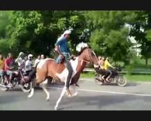 नोएडा एक्सप्रेसवे पर घोड़े की रेस के जरिए सट्टेबाजी का खेल!