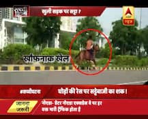 नोएडा एक्सप्रेस-वे पर गाड़ियों के बीच हुई घुड़दौड़, वीडियो वायरल होने पर जागी पुलिस 