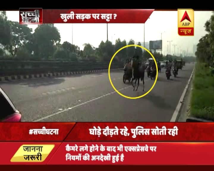 आपको बता दें कि ऐसा शक जताया जा रहा है कि ये सब के सब सटोरिए हैं, जो नोएडा-ग्रेटर नोएडा एक्सप्रेस वे पर दौड़ते घोड़ों और घुड़सवारों का हौसला बढ़ाते नजर आ रहे थे.