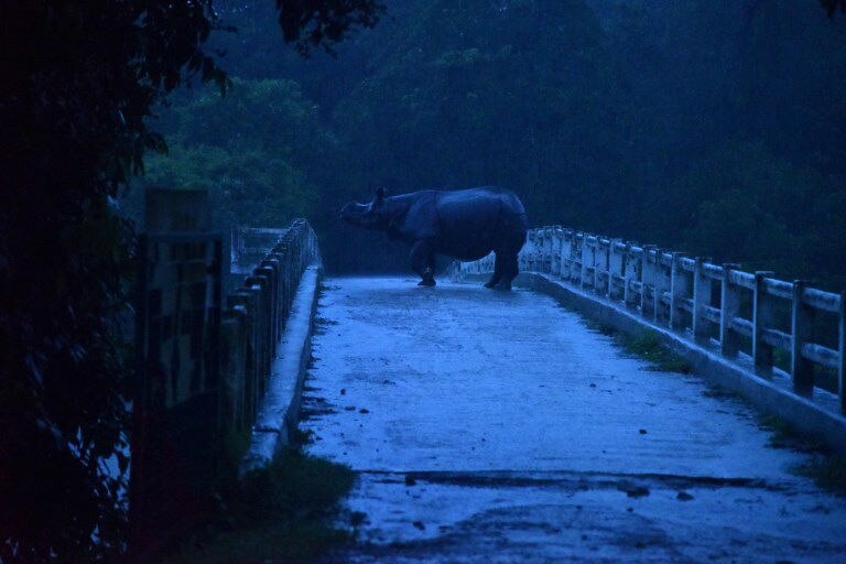 भारी बारिश से देश की कई नदियां उफान पर, असम में बाढ़ से अब तक 59 मरे